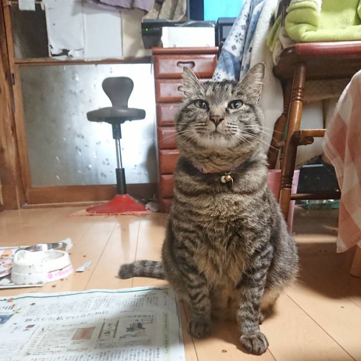 3d76187e 10b3 46fc bc65 d7d14195dc60 1652563441435