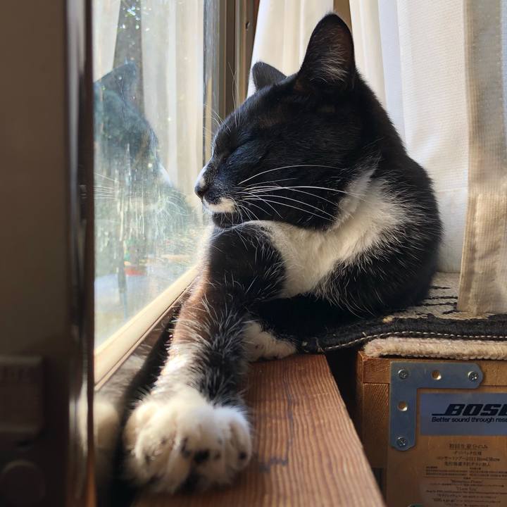 3d764a50 5c0f 40f9 b967 92ee10ef6ba4 1604029535280