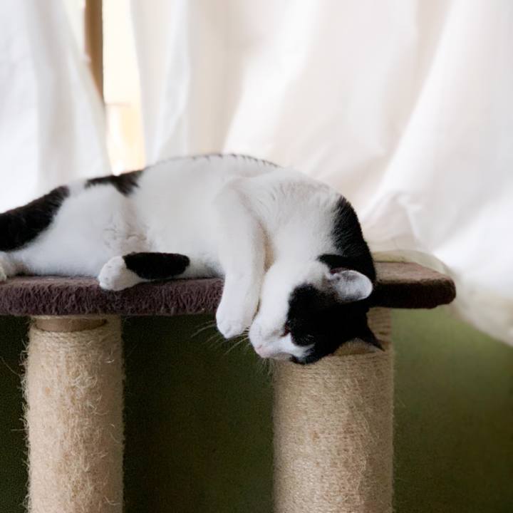 3d769fab 2b18 412d a613 fb990047e725 1581209422817