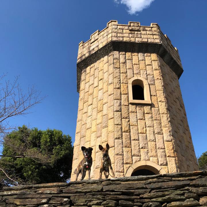 3d7714a6 0442 4ba8 aebe a206c9f96a24 1573711024186