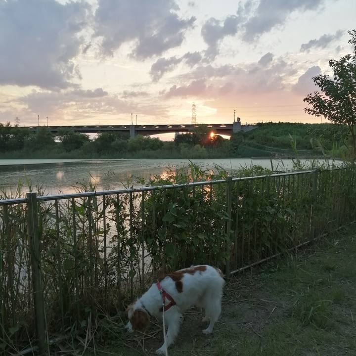 3d776481 c045 47af 8a7b d4c6eed385c2 1569498547677