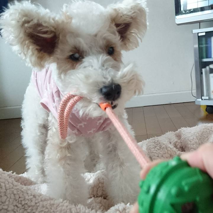 3d7795a5 841e 4668 838f 9d0e5eff08ae 1519276422573