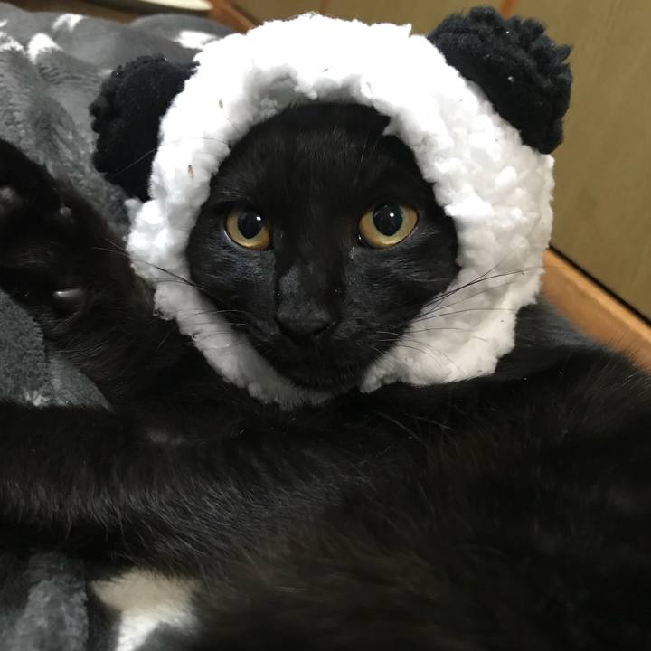 3d77af37 6b6b 431c 9c6f f5d1458e4f90 1515929467955