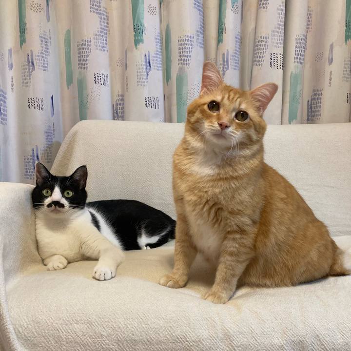 3d77c9b5 24d4 4ff4 bbc3 7bbb6a4852a4 1755787115745