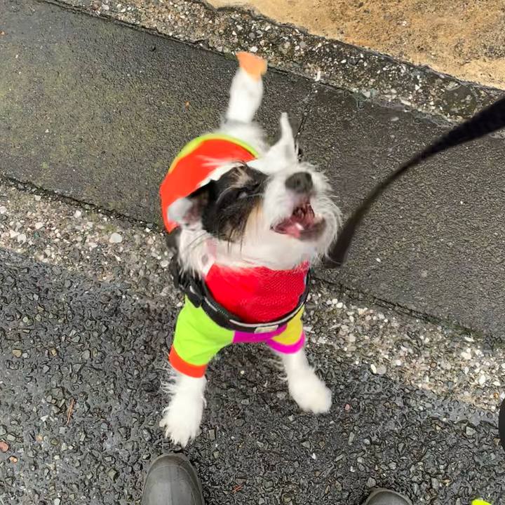 3d77d625 3a95 4131 bc91 5135eed3d7ad 1705804404149