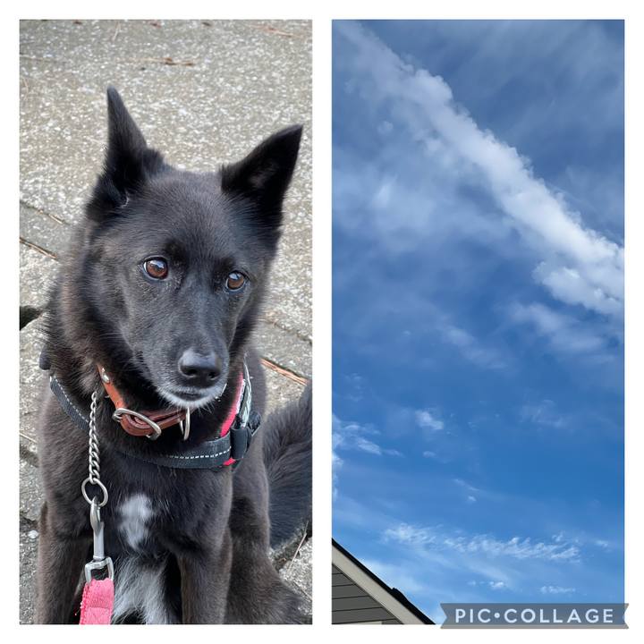 3d77dd0f a76f 4f50 9d7d 3920e29f8e25 1691221825565