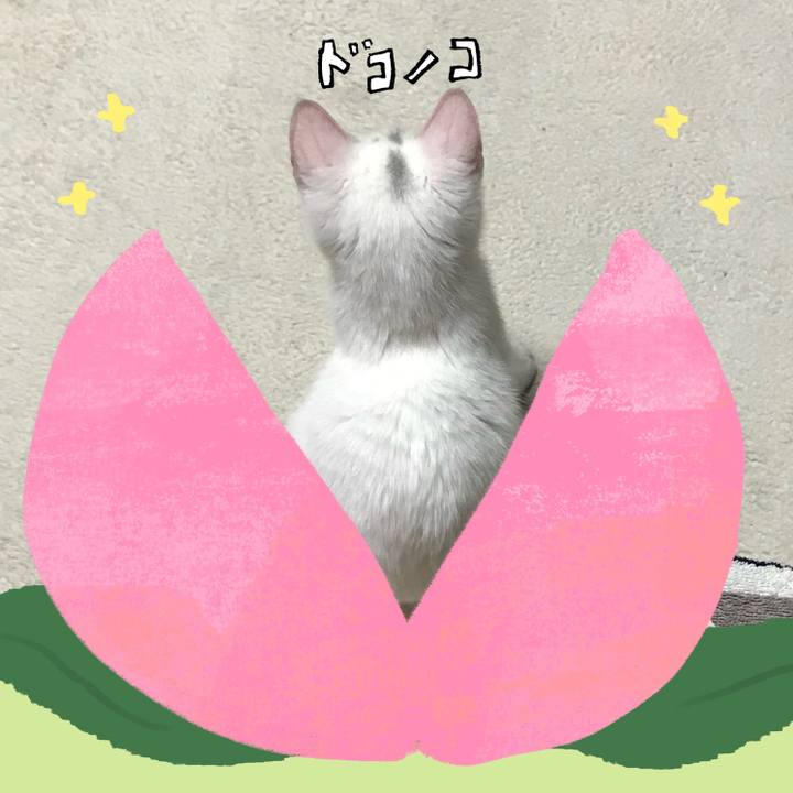 3d77e1d0 94d0 4ef2 adb2 c3adecd1315c 1771854958310