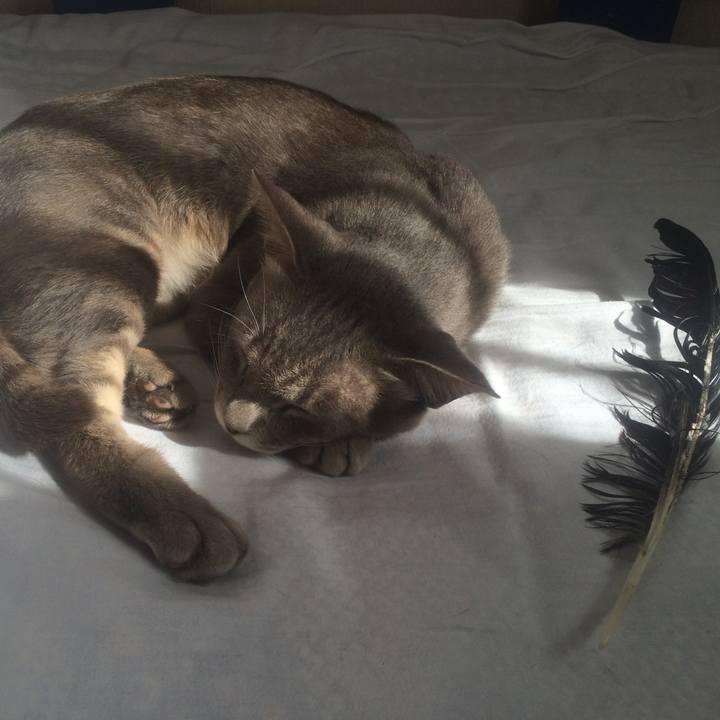 3d77f88d 4624 46f3 9d1a 86f28a3ffce3 1530056912287