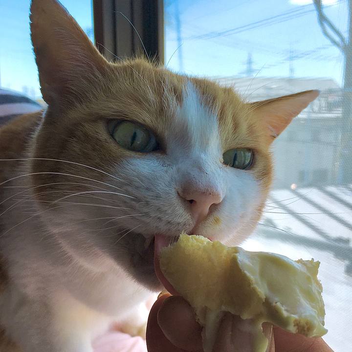 3d786197 eb0a 49a2 980c 5ebbab5f7a14 1591940838513