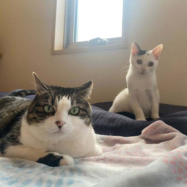 3d787fd6 a577 4714 a4ef f17310da8768 1667114404915