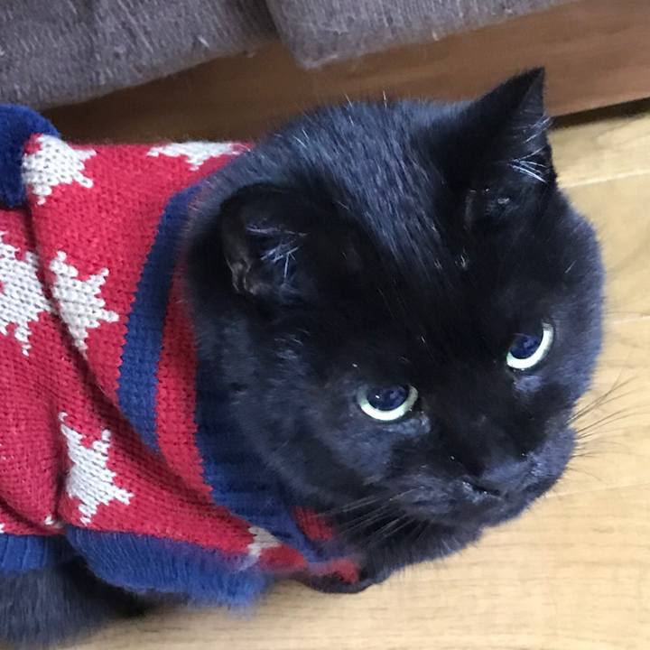 3d788637 460b 414c b430 adf786f82797 1561248166803