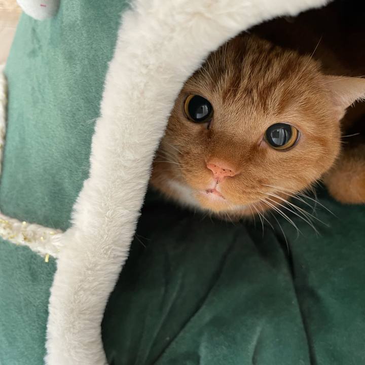 3d78f3a6 f1e6 4350 b9e5 502d63b40ce3 1627015892712