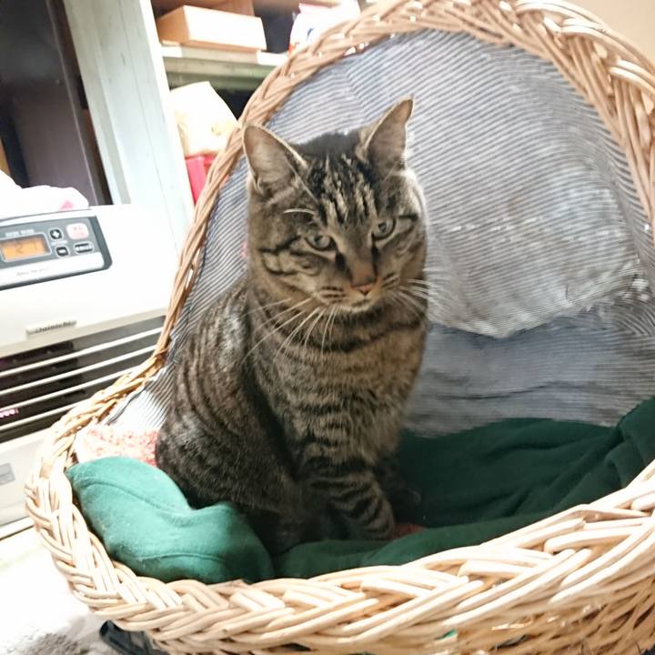 3d790995 13bb 48ab a2d4 1017412ddbcb 1640993778797