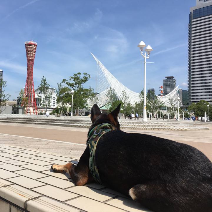 3d790cc5 e162 4113 afd1 0a3762e5c57e 1529203377596