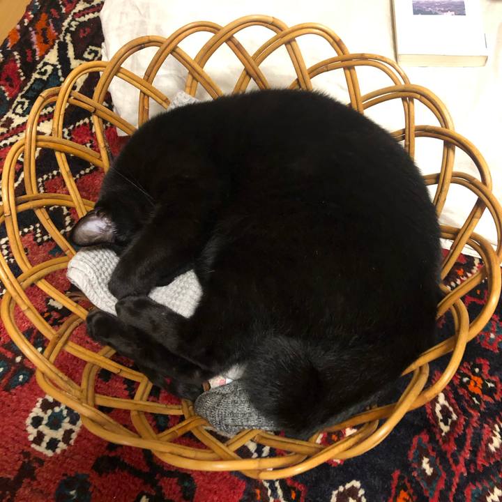 3d794711 b124 4f40 9271 d3b81fab4fc0 1598196272403