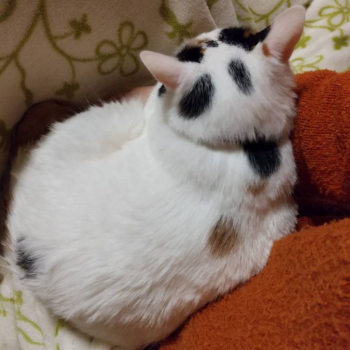 3d7987de f344 4811 8eee 8b923e9dd446 1583931759361