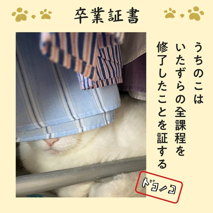 3d79a5c6 3c11 452f 907a 34bc4cb8ef00 1771973828433