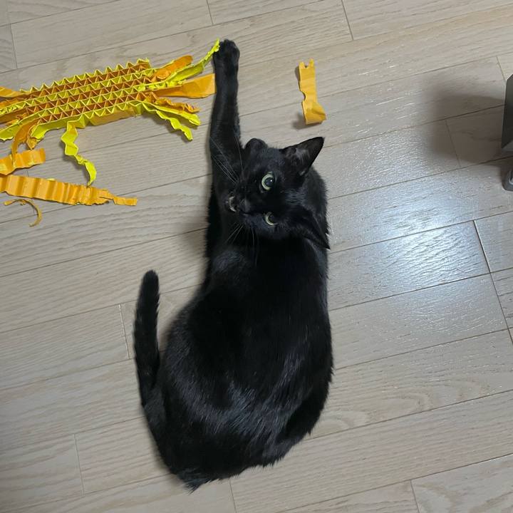 3d79b6a3 4167 4f19 88bb 5e0582b0d892 1708343837048