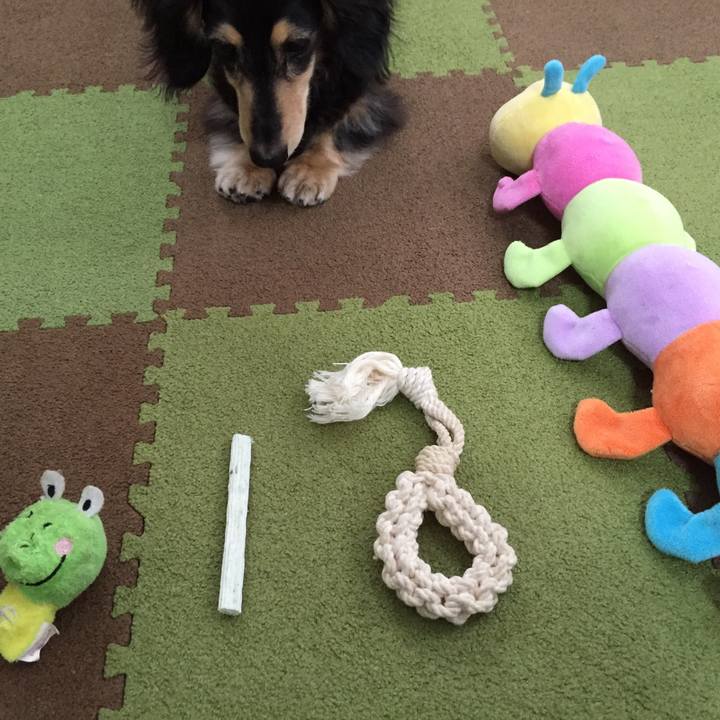 3d79c4a7 3e86 450d 9e26 4384b3146219 1521505802487