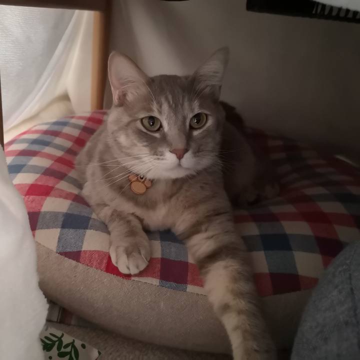 3d79c549 6ee5 44ce bae3 6cdc1abbc72a 1583828243719