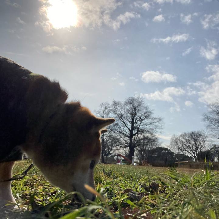 3d79e5f8 4532 4eb1 85e4 3cb904e22120 1674534050890