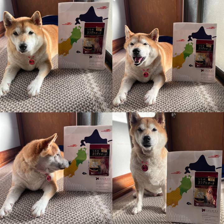 3d7a0bfd 46da 48b8 96f0 3f71862f89e0 1706311903816