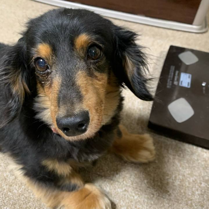 3d7a148b 48ff 4bcf 9186 7d1888530874 1588764867969