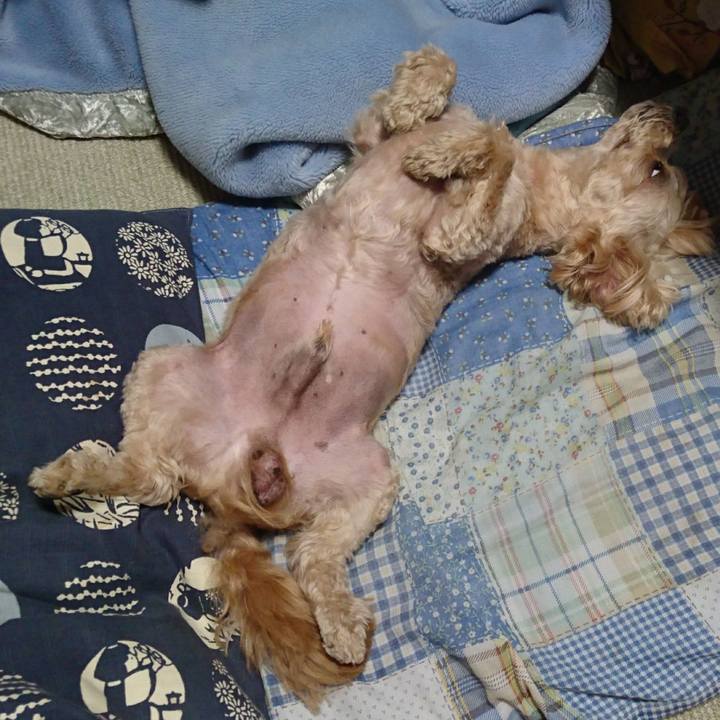 3d7a1b10 a841 4005 b775 88f4210107d3 1589461273246