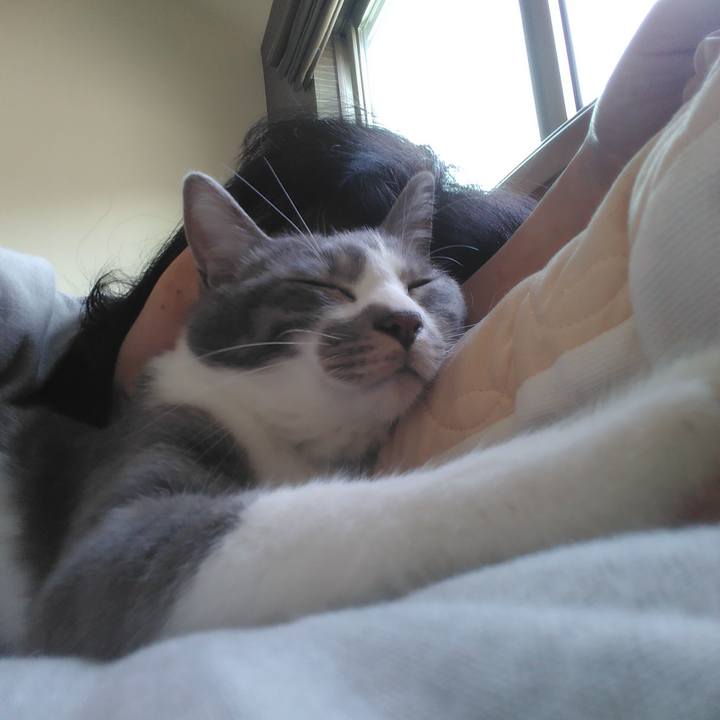 3d7a3c34 4309 4e61 8c60 a5d85adb5f1d 1590711974188