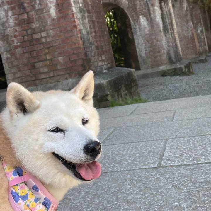 3d7a692b 6174 43fd 8847 163f6f7d4fef 1653815890598