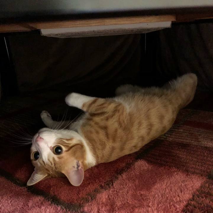 3d7a9b86 46e5 40f7 b58a f2e5671148cf 1511170851931