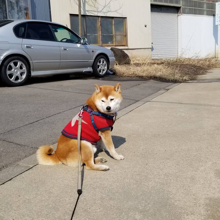 3d7ac4c1 83dd 40e8 b8fc 4e27544c5e46 1552624495919