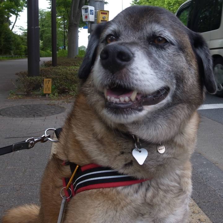 3d7ae75e 41ad 4650 91b3 265db9ded0c1 1605743822265