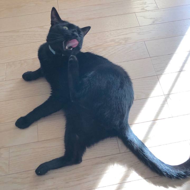 3d7af386 9d09 4e3d 9f76 3b062c5458d2 1560435270107