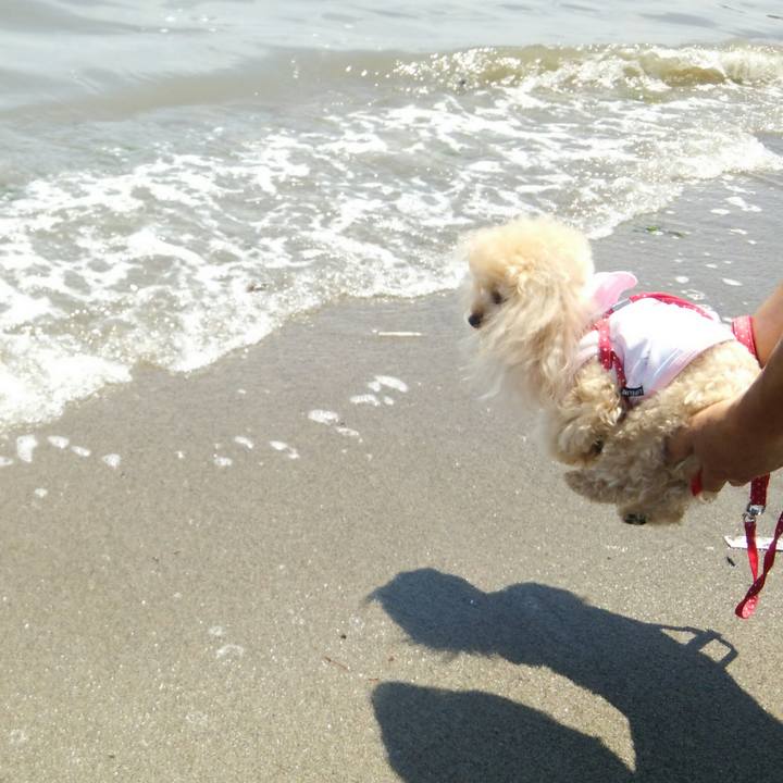 3d7b0262 863a 40a1 b807 a23c93812a40 1529931916484