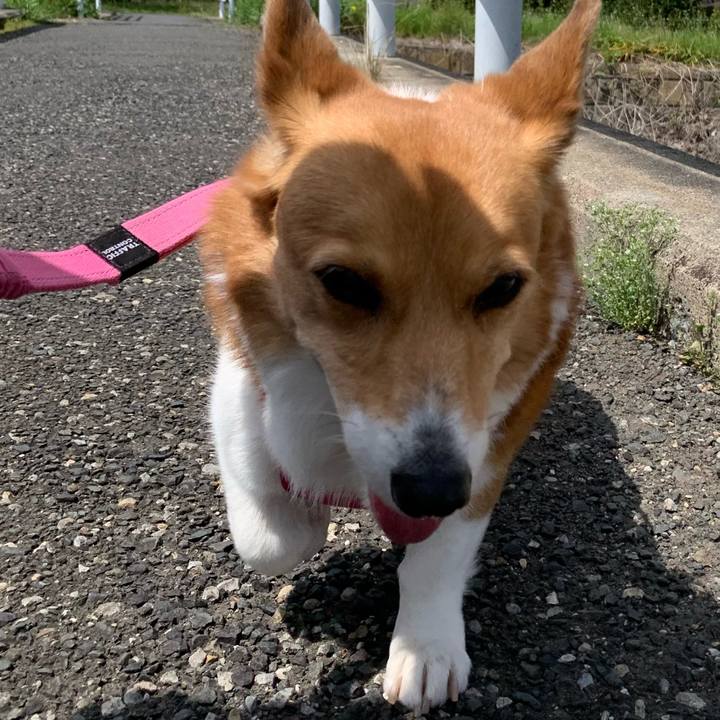 3d7b3232 1e10 4da1 a40f 0975fc078e2d 1713235765500