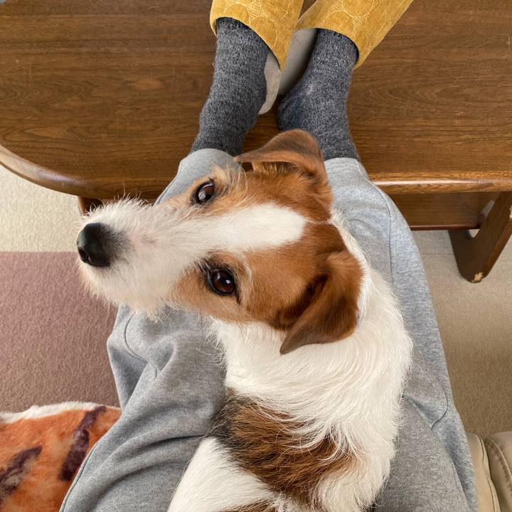 3d7b670b baa4 4c4c 9286 70373b6a506c 1773444927752