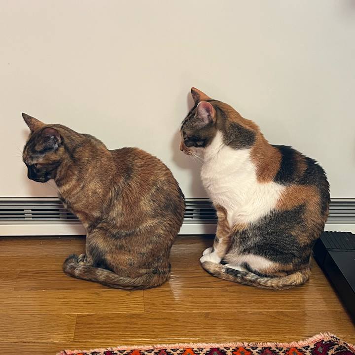 3d7b8034 0dba 44e5 a6da 137b8807045a 1765838680981