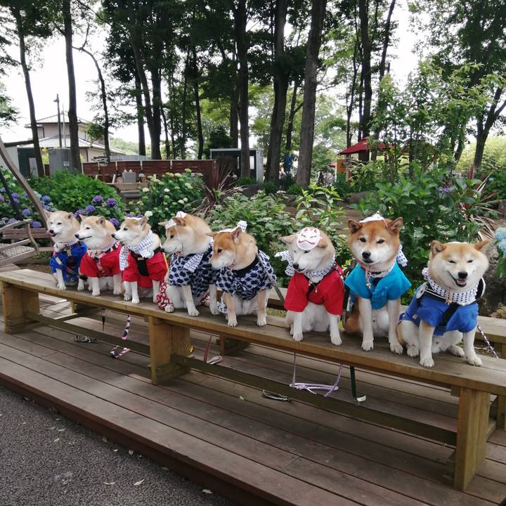 3d7ba790 3115 4ebd 9f8c 7961e48ee146 1685415993548