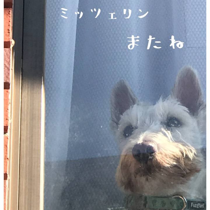 3d7bbbb7 52f8 446c b899 8980c676c503 1580492372192