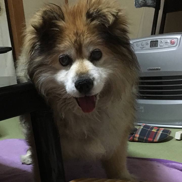 3d7c02e0 c550 466b 88cf 01a58a9e128f 1609916898309