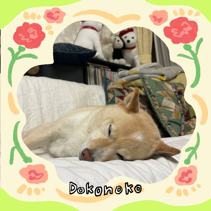 3d7c2a3d 84c2 41f6 90db af264e2f37ea 1715165575047