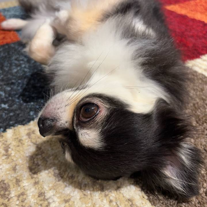 3d7c38d1 da51 44a5 9139 0edd27b90a54 1753632950525