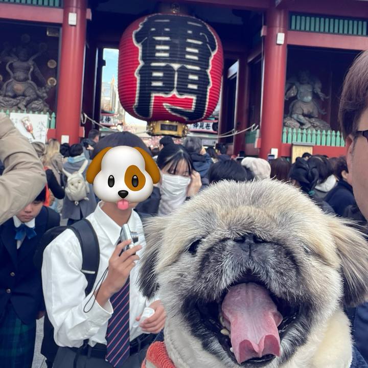 3d7c4a96 54ff 455b 9689 9e19d99e32a8 1733879993065