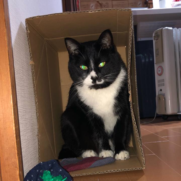 3d7c6f16 9b28 4304 ac28 64a731f29911 1582255275750