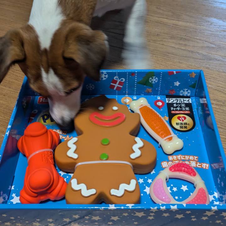 3d7c9ca1 3a1b 4963 8257 ac26790ad691 1732345142165