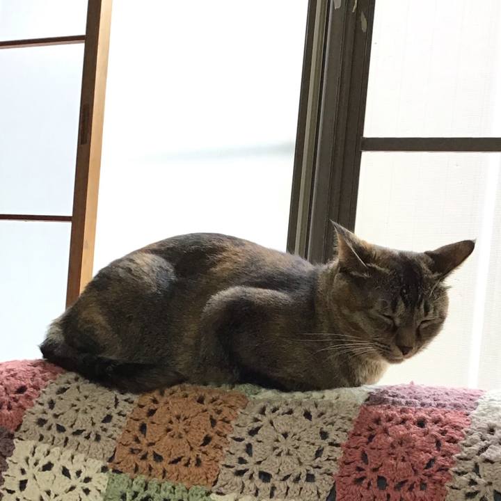 3d7d1002 4f5e 455b 929d f19473bb09f1 1631333154669