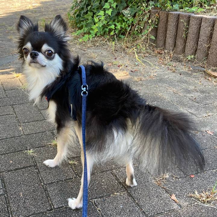 3d7d3a9b 10ec 41d0 becb dd34d6c7ebc8 1664695927758