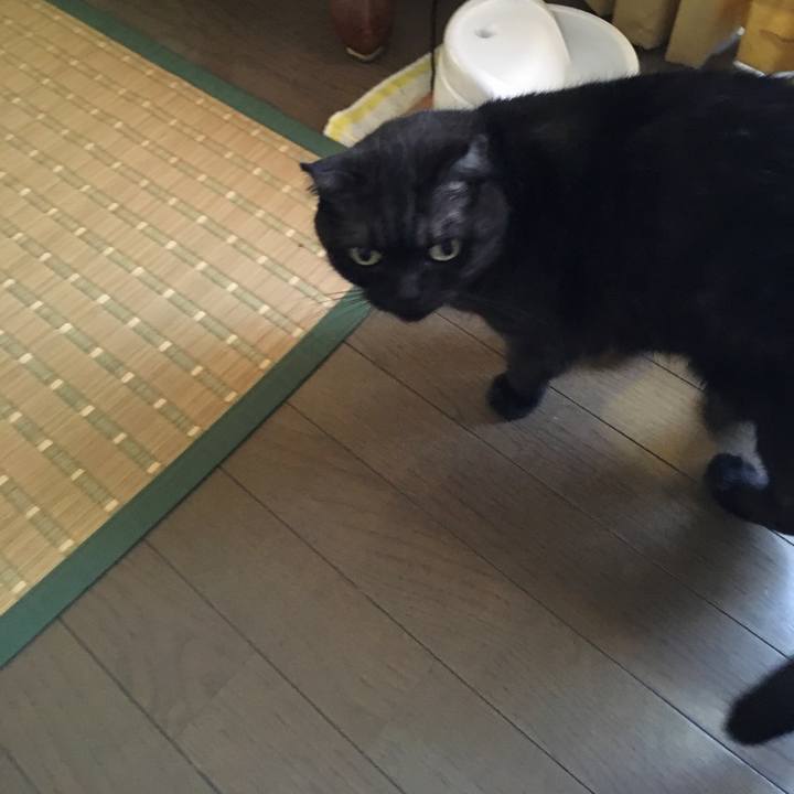 3d7d48bd 8737 42e7 9e05 9f1218445543 1533337615846