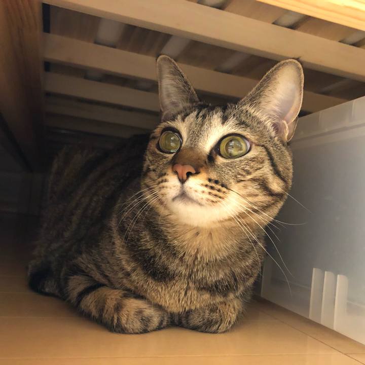 3d7d49d7 b509 4791 b718 ddb0970c199b 1610033463481